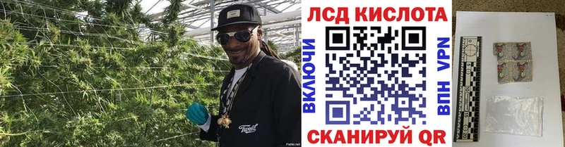 blacksprut   купить наркоту  Гатчина  Марки 25I-NBOMe 1,5мг 