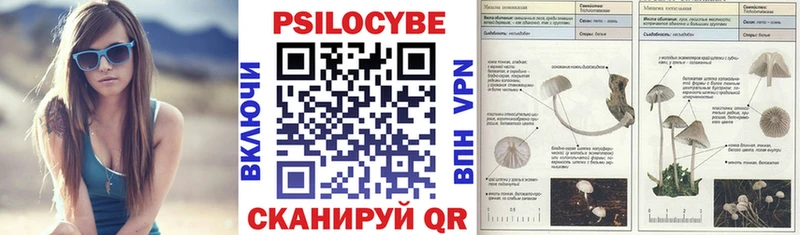 Галлюциногенные грибы мицелий продажа наркотиков Гатчина
